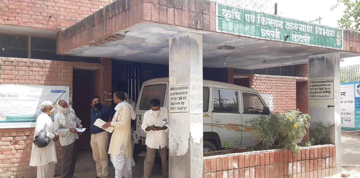 पहले लॉकडाउन ने मारा, अब टिड्डी दल का खतरा