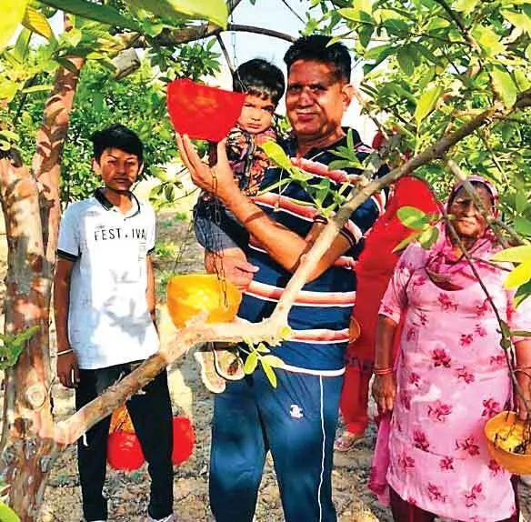 बठिंडा : साध-संगत ने जरूरतमंद परिवारों को बांटी 1000 राशन किटें
