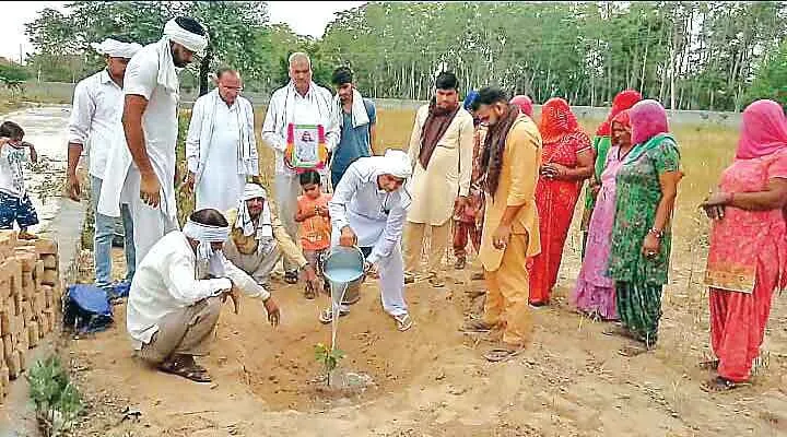 डेरा अनुयायी परम्पराओं को पर्यावरण  संरक्षण से जोड़कर दे रहे हरियाली की सौगात