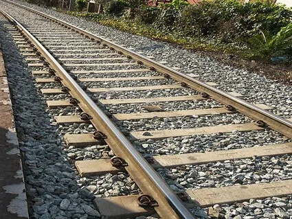ट्रेन से गिरकर प्रवासी श्रमिक की मौत