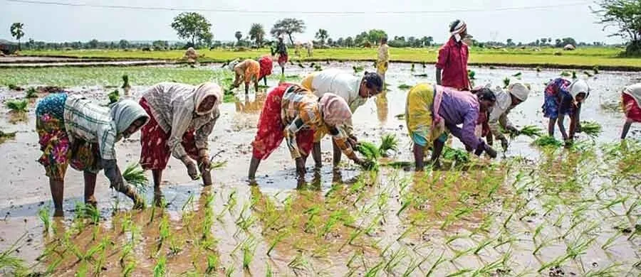 नए सिरे से तय होगी कृषि की भूमिका