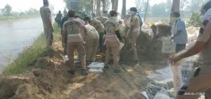 welfare work