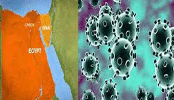 मिस्र में कोरोना के 1652 नये मामले सामने आये, कुल संक्रमित 62,755