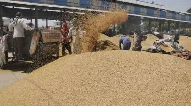 अब हर बार कूपन सिस्टम से ही फसल खरीदेगी सरकार