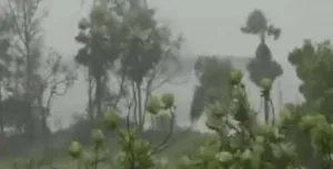 Cyclone Nisarga