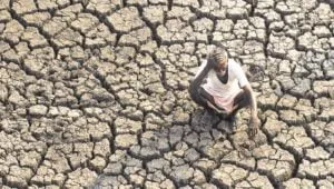 Farmer Suicide
