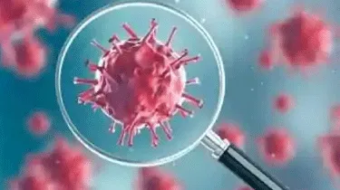 अगस्त तक रोहतक में होंगे एक लाख संक्रमित!