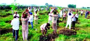 Incarnation Day of MSG, Mega Tree Plantation, Dera Sacha Sauda, Dera Followers