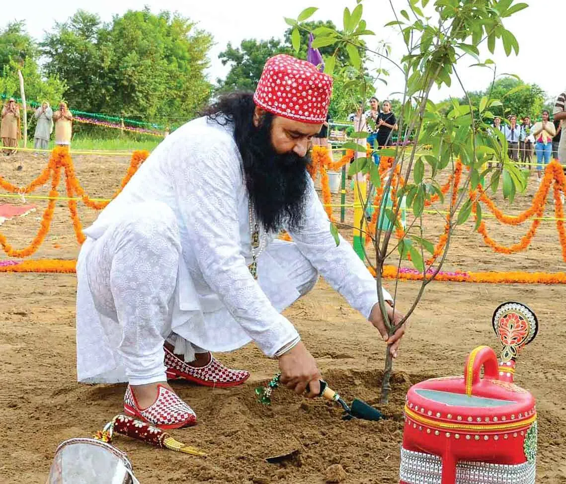 धरा को हरियाली की सौगात दे रहा डेरा सच्चा सौदा