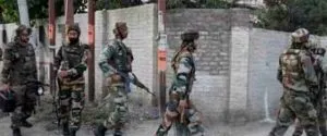 Search Operation