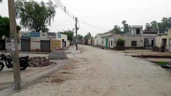 सरपंच बहू ने ‘चकजालू’ को भारत के साथ विश्व में दिलवाई पहचान