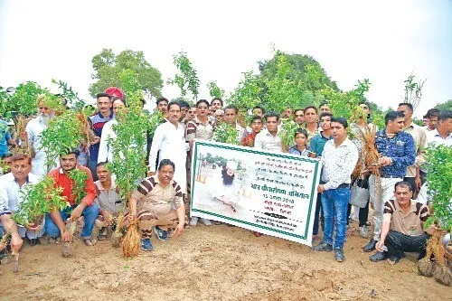 प्रकृति संरक्षण में डेरा सच्चा सौदा निभा रहा अहम भूमिका