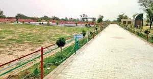 Honor For Cleanliness