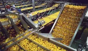 Manufacturing Sector Falls