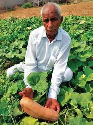 टीवी चैनल देखकर पैदा हुई आॅर्गेनिक खेती के प्रति दिलचस्पी