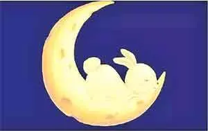 Rabbit on the moon: चांद पर खरगोश