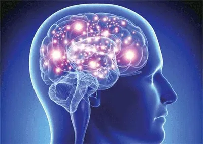 पानी अमृत है, 75 प्रतिशत से ज्यादा पानी से बना है दिमाग