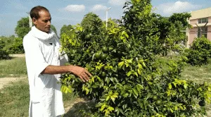 Brijpal, the incharge of the Khyowali power station, has become the flag bearer of the environment