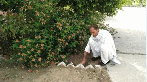 Brijpal, the incharge of the Khyowali power station, has become the flag bearer of the environment