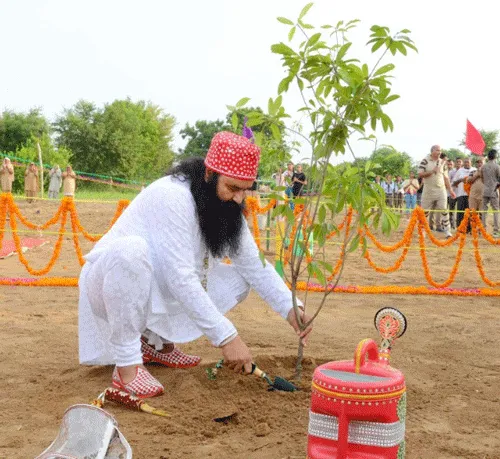 पावन अवतार दिवस पर पौधारोपण करेंगे डेरा सच्चा सौदा के श्रद्धालु