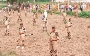 Devotees of Dera Sacha Sauda will plant trees on holy Avatar Day