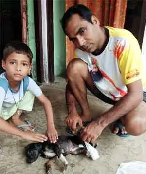 बेजुबानों के दर्द पर मरहम लगा रही ‘जीव सुरक्षा’ मुहिम