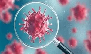 Number of corona infected reached more than 79 thousand in Rajasthan