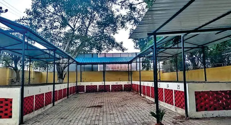 फिरोजपुर शहर का सोलिड वेस्ट मैनेजमेंट प्लांट बना रोल मॉडल