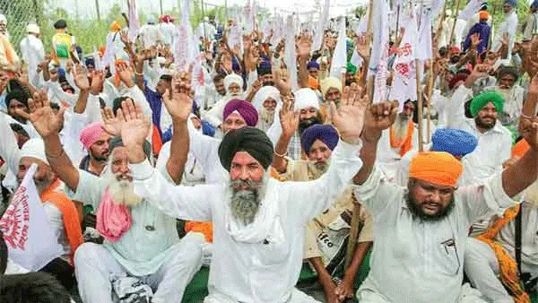 बिचौलियों के लिये नुकसानदायक है कृषि बिल