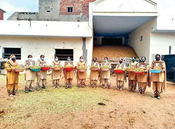 ब्लॉक पटियाला की बहनों ने गायों को खिलाया हरा चारा
