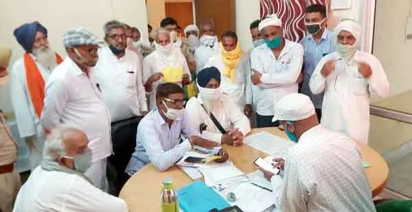 जमाबंदी के आधार पर ही नरमे की सरकारी खरीद की मांग