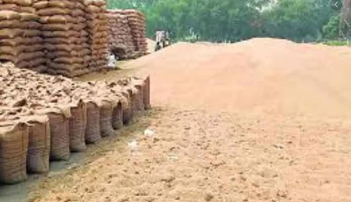 पहले ही दिन देर से शुरू हुई बाजरा खरीद