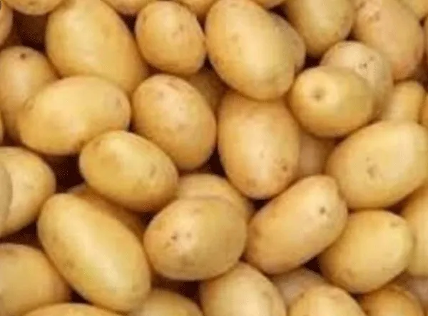 दस लाख टन आलू का आयात होगा