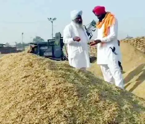 पंजाब में धान की सरकारी खरीद 142 लाख टन के पार