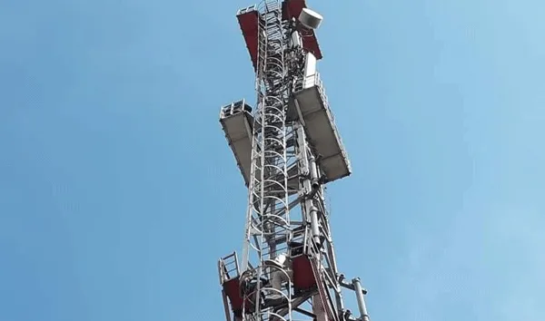 मेरिट लिस्ट जारी करने की मांग, यूनियन के चार बेरोजगार अध्यापक टॉवर पर चढ़ गए थे