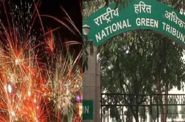 एनजीटी ने दिल्ली-एनसीआर में पटाखे जलाने पर लगाया प्रतिबंध
