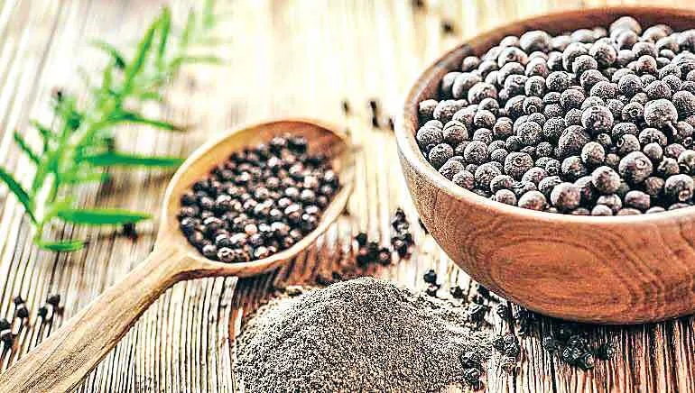 Kali Mirch Ke Fayde: सेहत के लिए बेहद गुणकारी और लाभकारी है कालीमिर्च