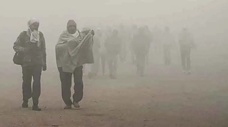 उत्तर भारत शीतलहर की चपेट में