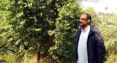 राजस्थान की मिट्टी में बिखरती चंदन की खुशबू