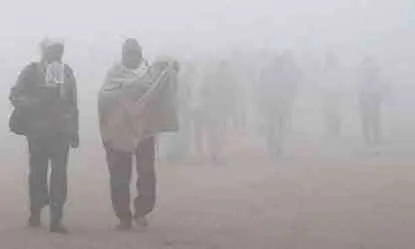 राजधानी में ठंड और कोहरे ने किया नूतन वर्ष का स्वागत