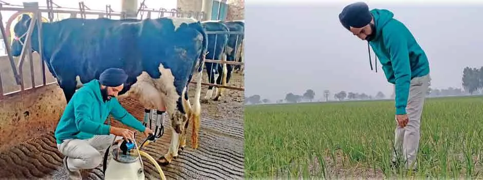 हरभगवान सिंह ने खेती के साथ पशुपालन को दिया बढ़ावा
