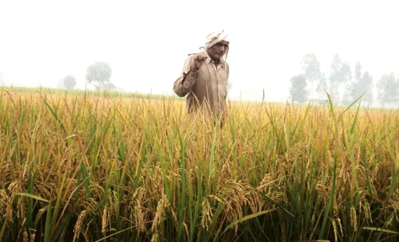 भरया रहवै भंडार