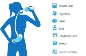 Importance of Water