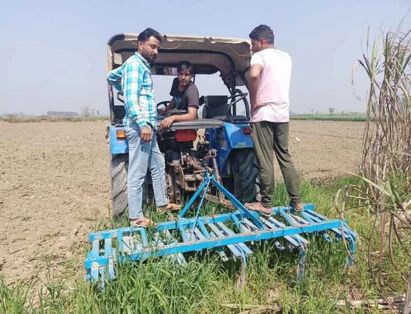 गेहूं की डेढ़ एकड़ फसल पर किसान ने चलाया ट्रैक्टर-हैरो