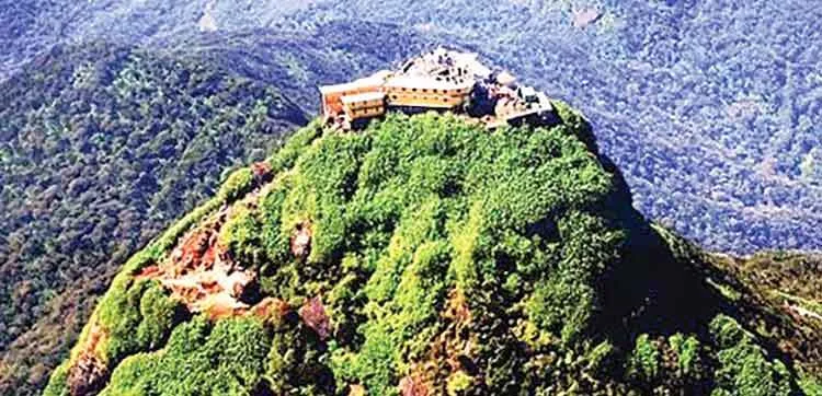 संजीवनी बूटी का विज्ञान