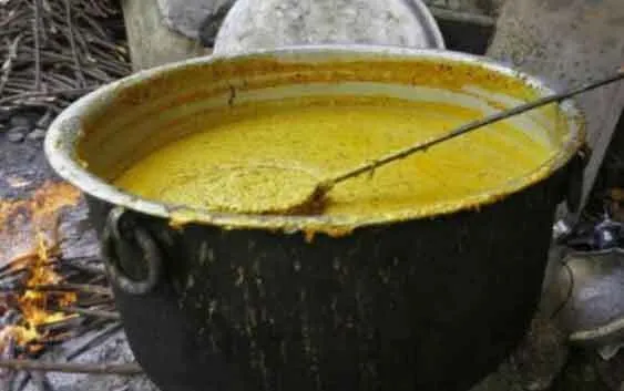 मिड-डे-मील में खिचड़ी खाने के बाद छात्रा की मौत