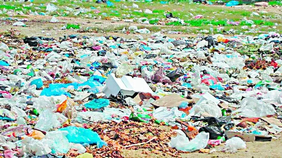 प्लास्टिक लिफाफे से होने वाले प्रदूषण के खिलाफ किया जागरूक