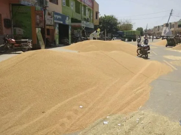 आढ़ती हड़ताल पर, डिपू होल्डर खरीदेंगे गेहूं