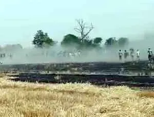 25 एकड़ गेहूँ व 35 एकड़ नाड़ जलकर राख