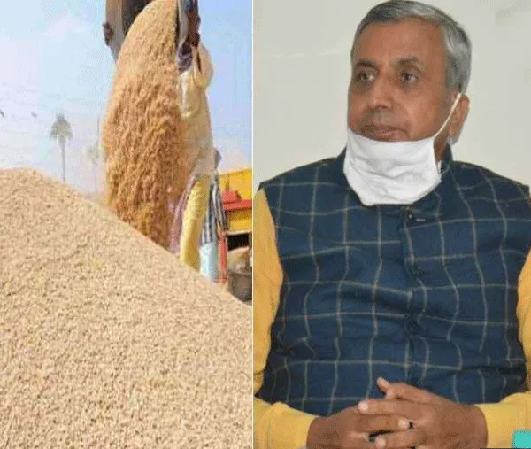 हरियाणा सरकार ने गेहूं खरीद नियमों में किया बदलाव